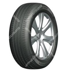 TBB FORTEZZA 205/55 R17 95W TL XL